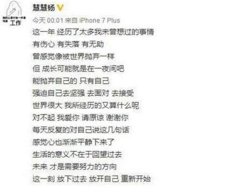 王宝强爆料马蓉丑事视频,一段婚姻的裂痕与真相